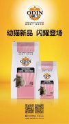 奧丁精品幼貓糧閃耀登場?。?！